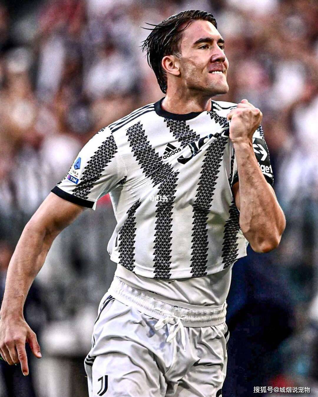 现锋霸之姿, 在本赛季的 现锋霸之姿, 在本赛季的