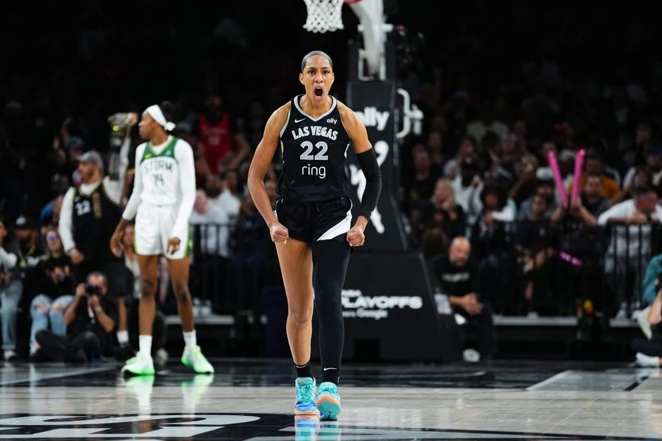 赛第二号种 赛第二号种